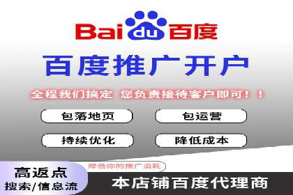 成功运用SEM服务实现品牌快速成长的案例